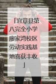 宜章县第八完全小学廖家湾校区劳动实践基地喜获丰收